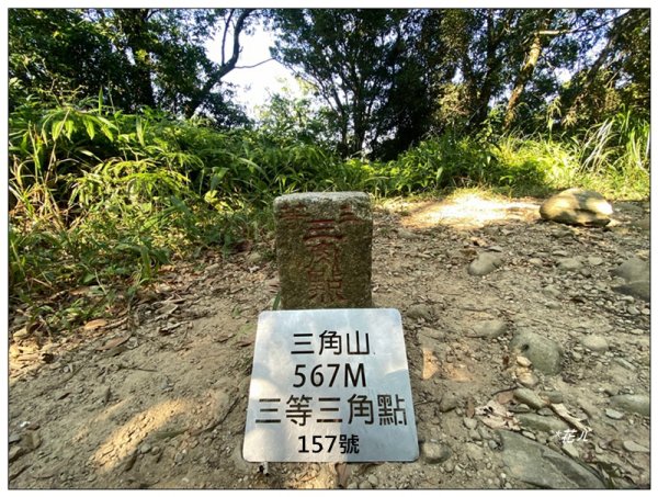 三角山步道 A上B下 (苗栗、三義)
