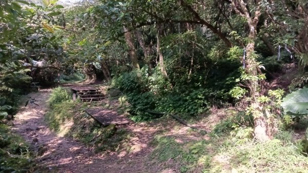 平溪區東勢格古道-咸豐嶺烽火台-峭壁雄峰-三抱竹鞍-白石後仙洞-東勢格古道P字走3126883