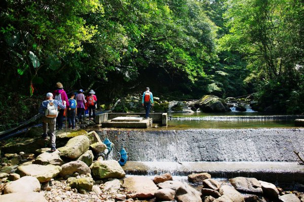 燦光寮古道與黃金三稜554282