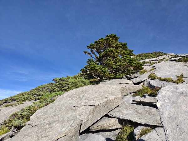 北一段(08/14)陶塞峰 2025_0906~132886959