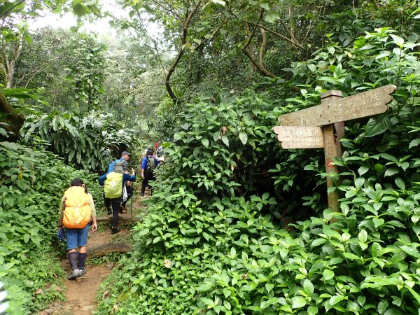 白鷺鷥山-康樂山-明舉山-東湖樂活公園537626