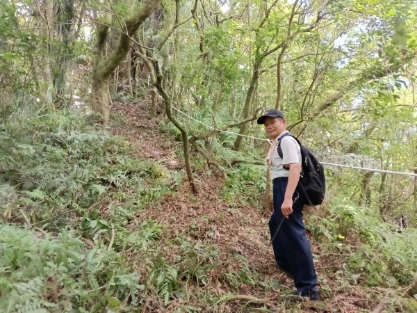 雙溪區威惠廟+下坑山+570峰+大埤格+崩山坑古道O型2814837