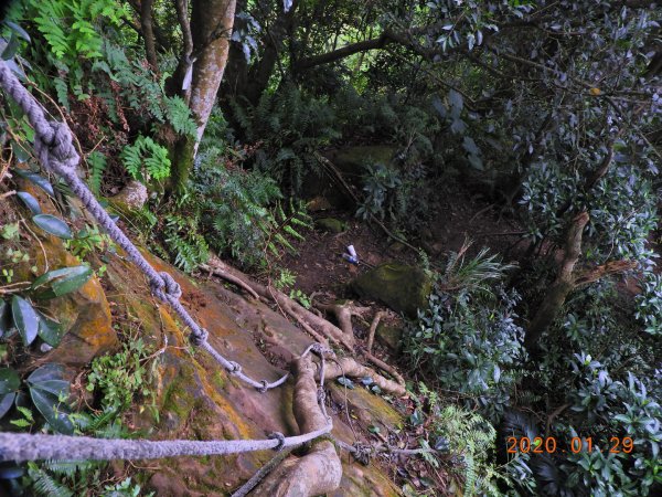 臺北市 文山 中埔山東峰817237