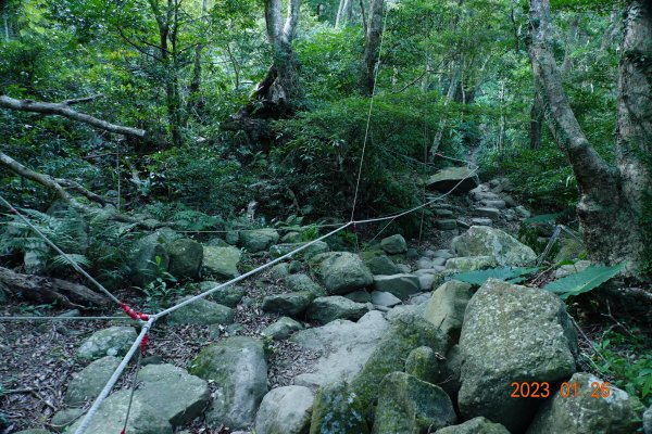 屏東 獅子鄉 里龍山(里隆山、里瀧山、鯉龍山)、下里龍山2018546