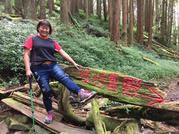 特富野古道賞舊鐵道479710