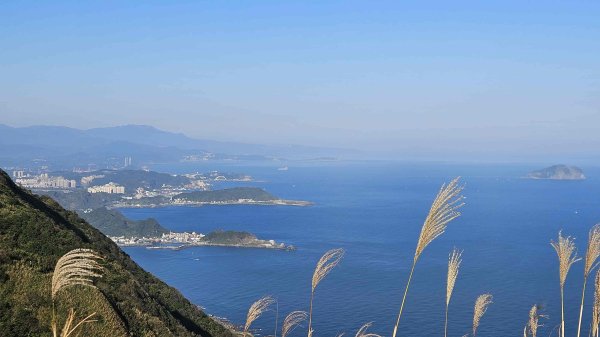 20260115基隆山主東峰2982662