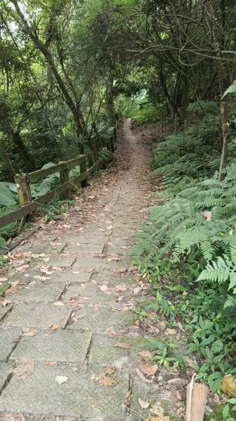 20251004 馬那邦山 - 珠湖 登山口2904797