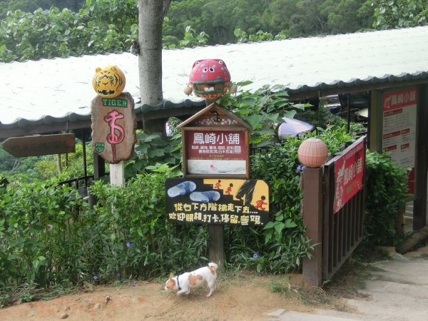 鳳崎落日步道．蓮花寺步道452648