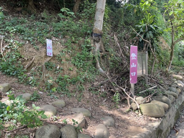 [皮皮獅探險隊-03/10] 2025_0706 犁頭山、文山步道2831461