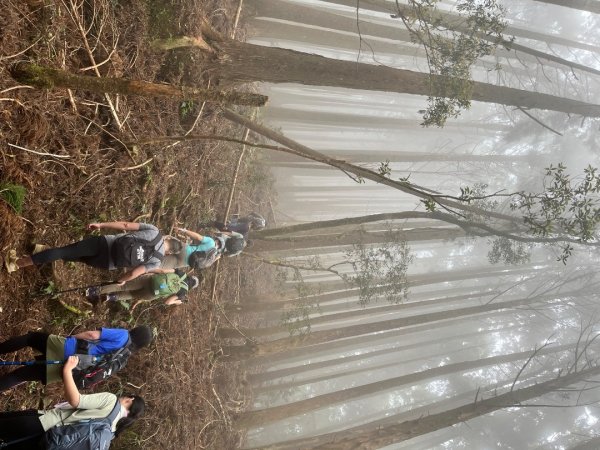 20250503_李棟山步道（新竹小百岳）2855848