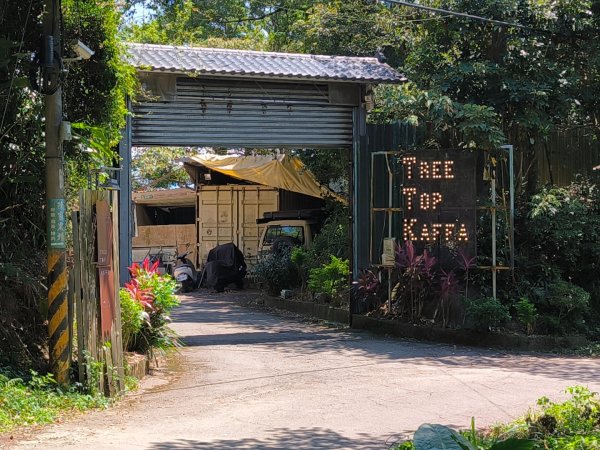 20250822微笑山線205高地段2868578