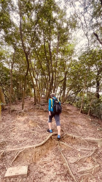 微笑山⛰️線-大棟-二格山-五分山-天上山-鳶山💎12條步道完成💙2841453