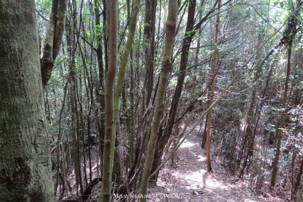 《台中》谷關七雄｜初登屋我尾山201703192890435