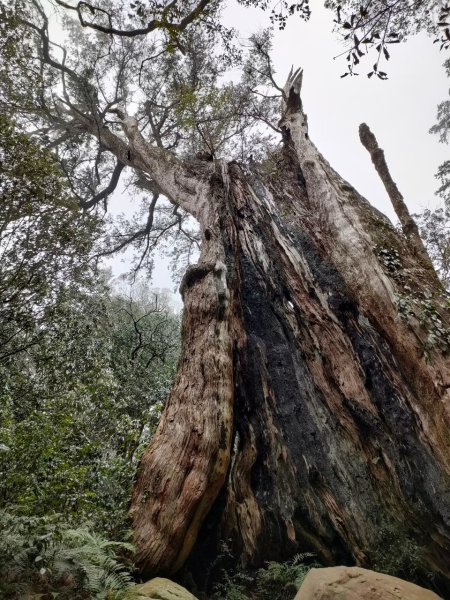 雪季北得拉曼2956438