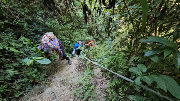 烏桶縱走(烏來山→大桶山)忠治出全紀錄2915208