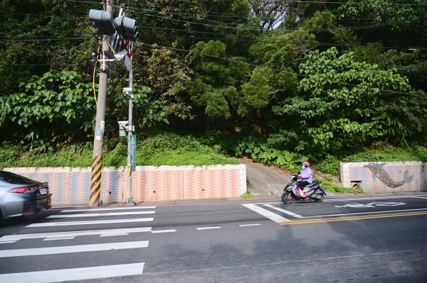 20241231鶯歌尖山-崧嵩嶺-忠義山-鶯歌蛋山-山仔頂山2679965