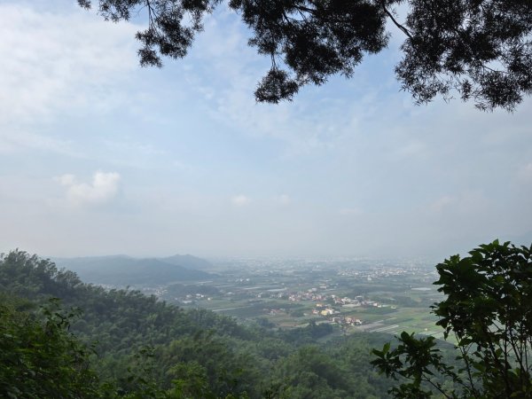 美濃雙溪樹木園（九芎林山）2652560