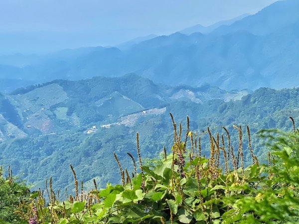 橫嶺山 沙蓮山O繞 大雪山絕美夕陽1469097