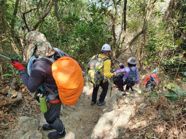 【柴山阿塱壹】享受上山下海之美1363971