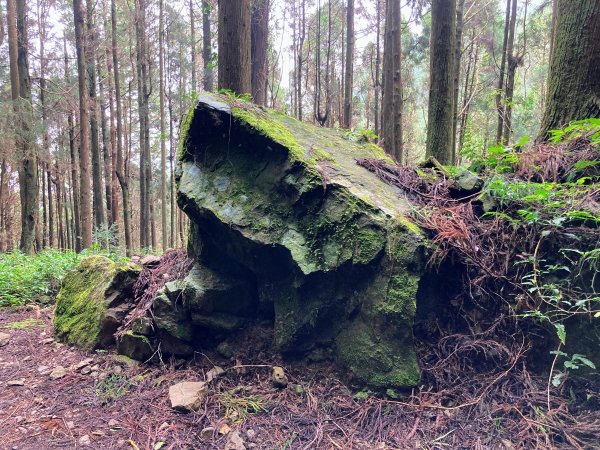 特富野古道2625591