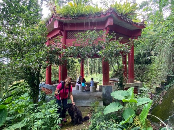 苗栗縣獅潭鄉鳴凰古道O型縱走2803689