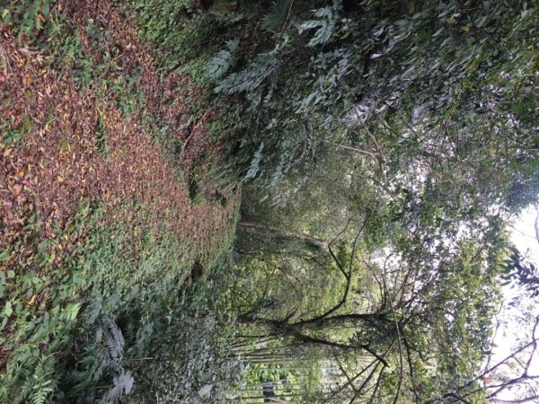 赤柯山、東獅頭山2748529