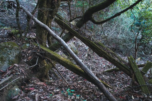 霞山鐵道野營2843071