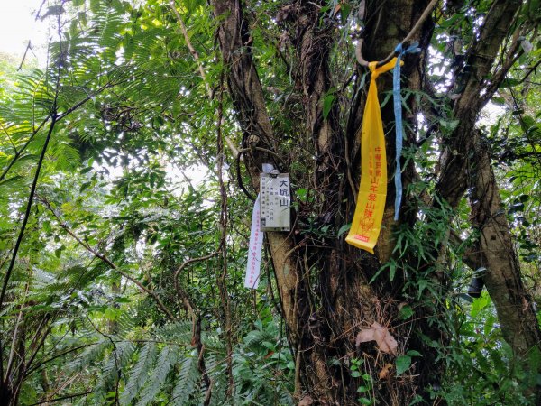 臺北大縱走-飛龍步道(政大)至麟光站784467