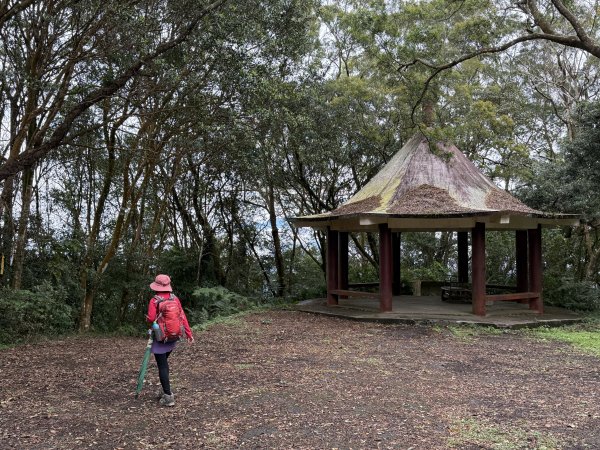 大山背山+騎龍山O繞2025.12.282979490