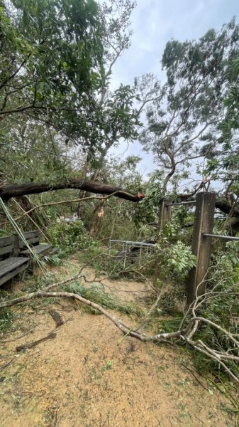 災後紅河谷越嶺小獅山仙跡岩觀音山路況2641452