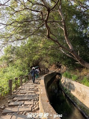 【台中烏日】知高圳步道x雪蓮步道x學田山3027117
