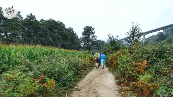 【勇氣2.0朝聖之旅】D36殘廢的狗683631