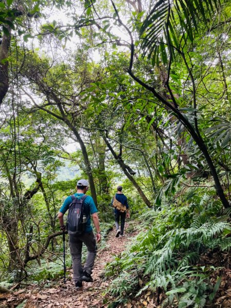 淡蘭中路（暖暖車站-十分車站）1685540