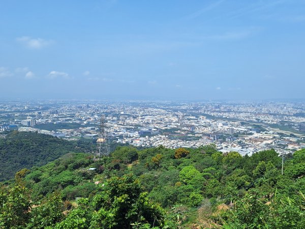 太平車籠山+貓頭鷹步道+番子路山+豬槽山202605023045776