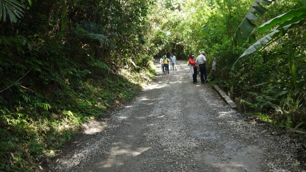 三訪跑馬古道登山健行趣（淡蘭南路TK3-10）1517791