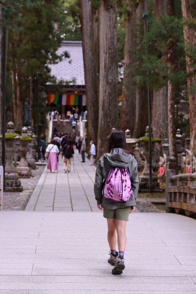 高野参詣道：不動坂に始まり祈りは奥の院へ2923239