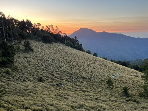 【奇萊東稜D2】磐石山、太魯閣大山與極品中級山2104990