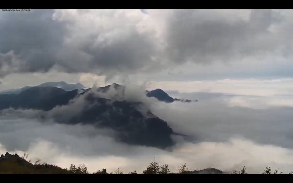 阿里山雲瀑&雲海/富士山直播即時視訊837591