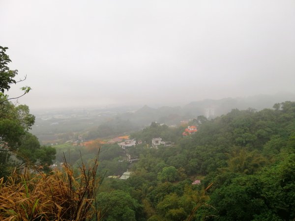 高雄大社~健身踏青好選擇~小百岳觀音山907977