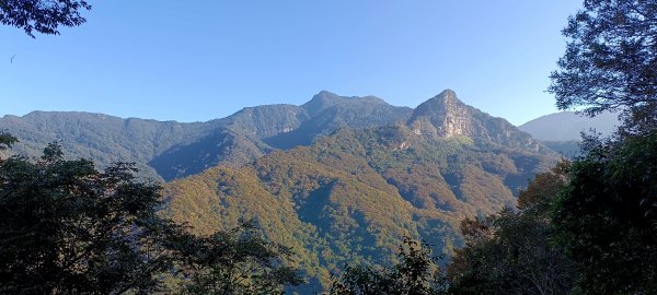 20231125_鳥嘴山步道(上島山)2359176