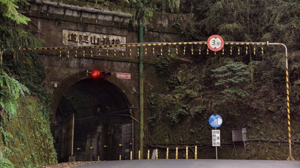 【台灣健行】山河無恙、歷史長歌  - 大雪山林場3136073