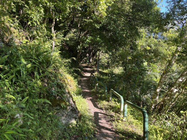 [玉山尋寶任務-03/12] 2025_0810 瓦拉米步道2857518