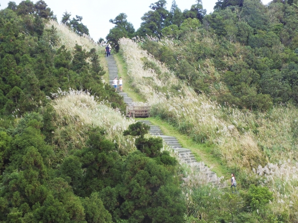 步道小旅行-賞芒聖地五分山3871