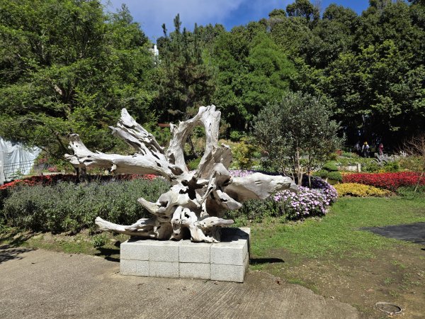 [皮皮獅探險隊-09/10] 2025_0816 野馬瞰山步道2862674