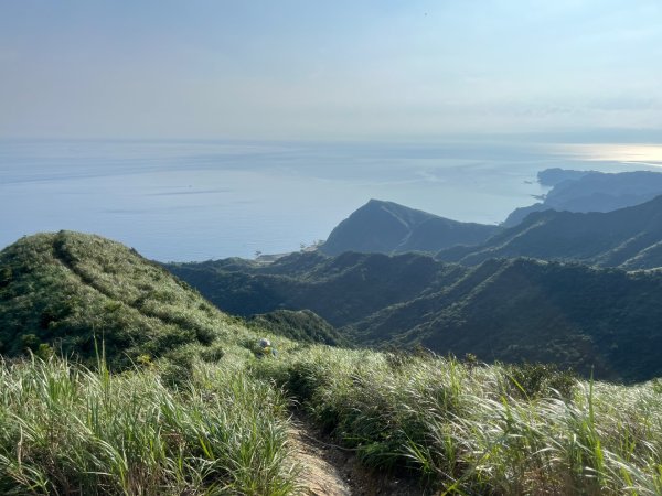 新北 瑞芳 無言的山丘2788479