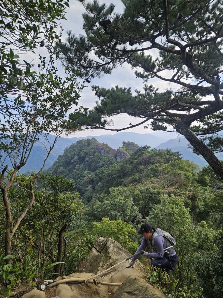 三峽五寮尖山2992024