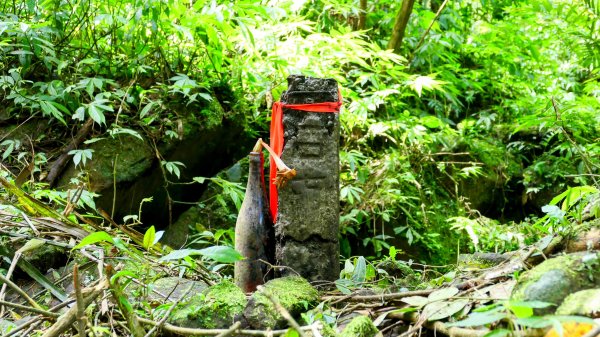 雙溪下坑古道2859481