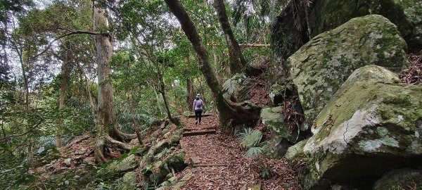 2025/12/25_冬瓜山神木步道2971973