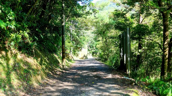 柯子林保甲路,如意湖,五指山古道2848881