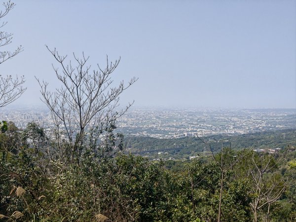 藤山步道登樟普寮一等三角點+挑水古道2749477
